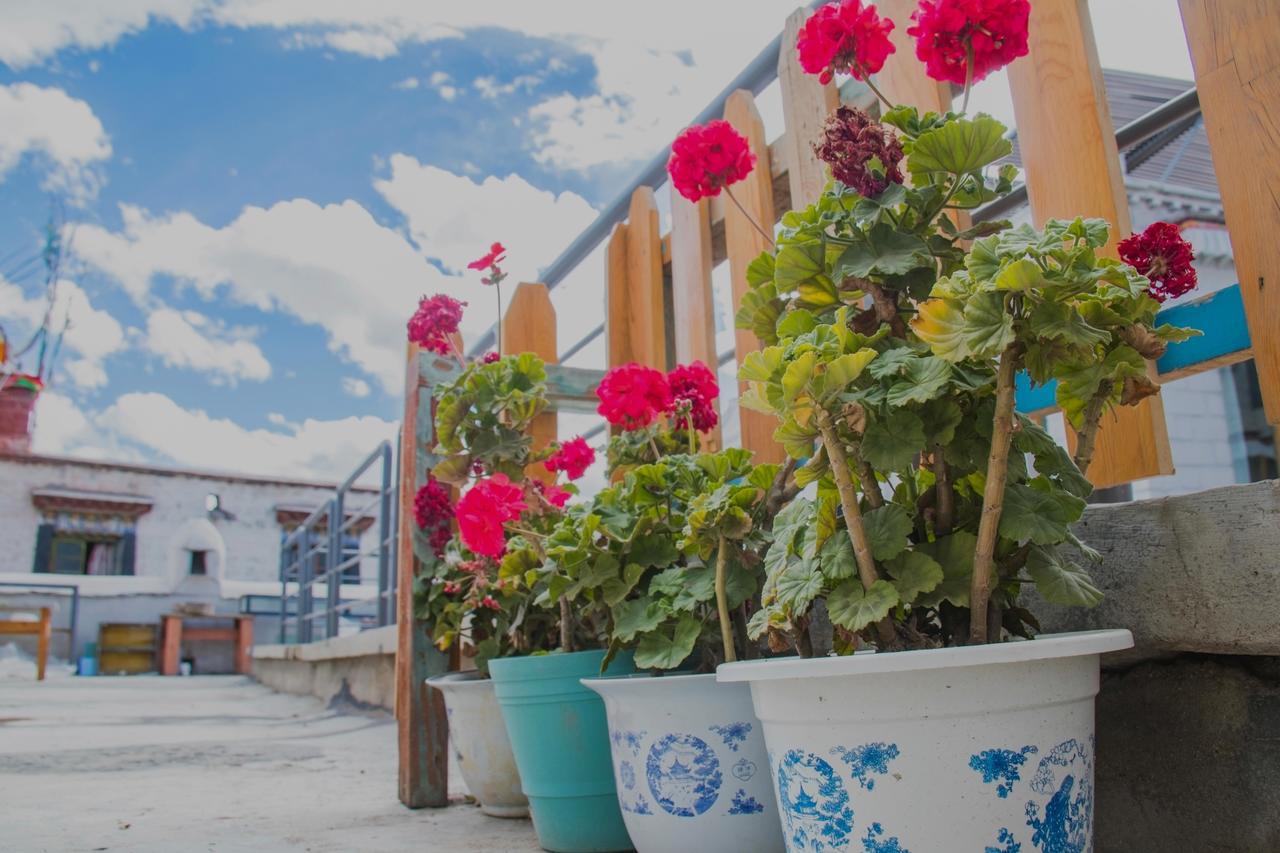 Fengma Feiyang Hostel Lhásza Kültér fotó