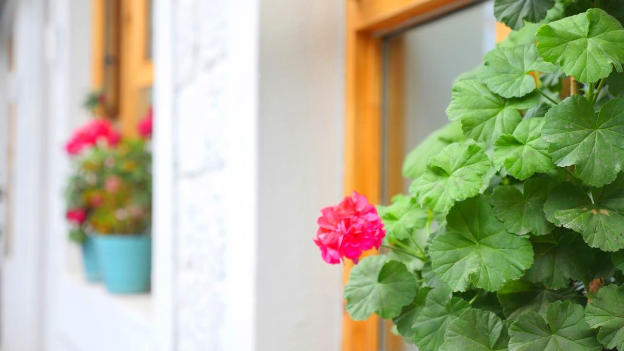 Fengma Feiyang Hostel Lhásza Kültér fotó